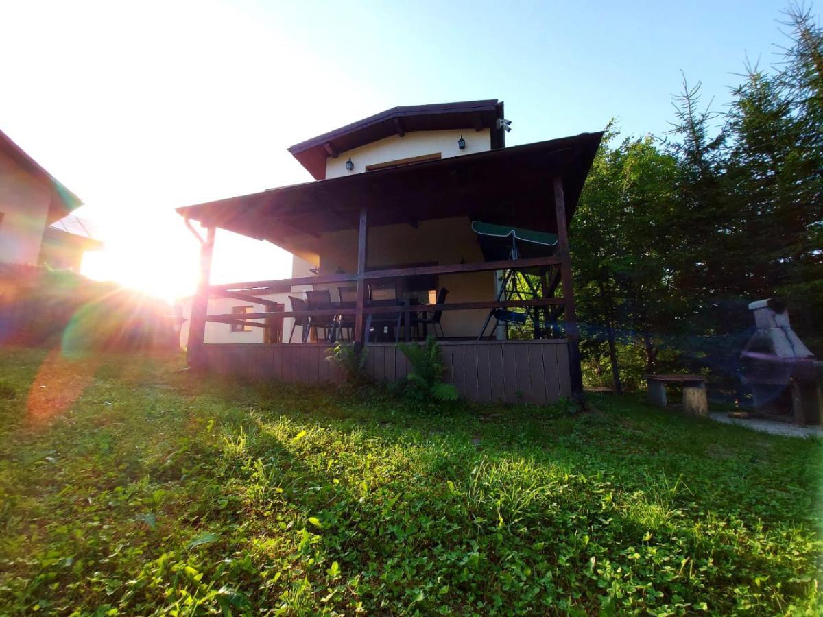 C House Villa Buşteni Buitenkant foto