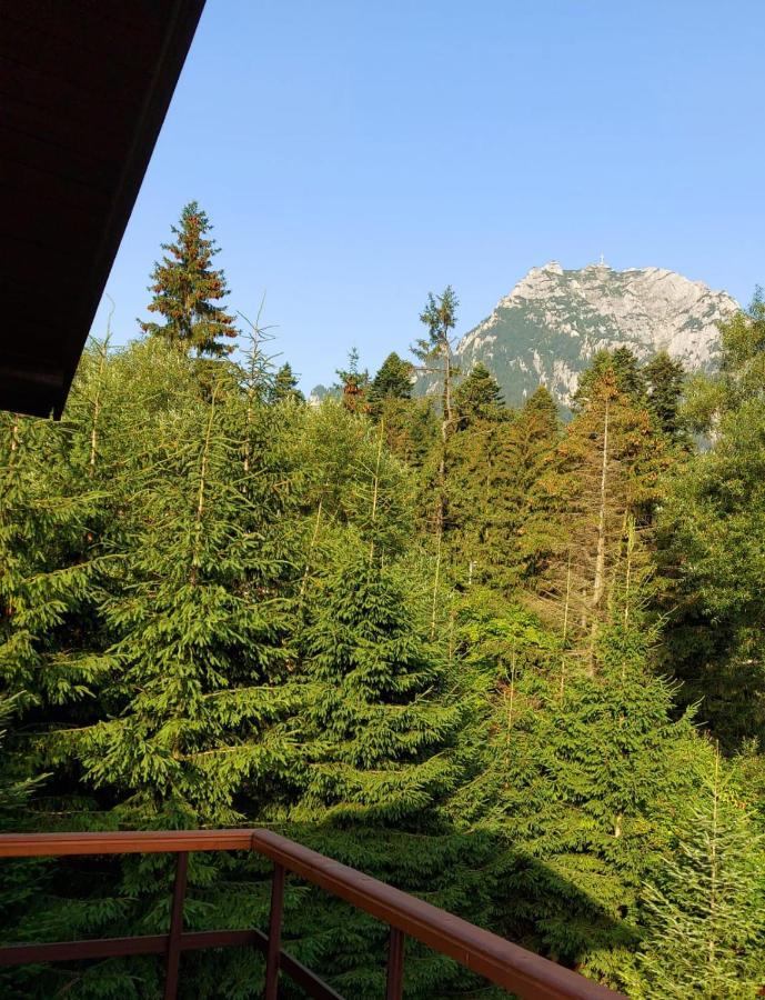 C House Villa Buşteni Buitenkant foto