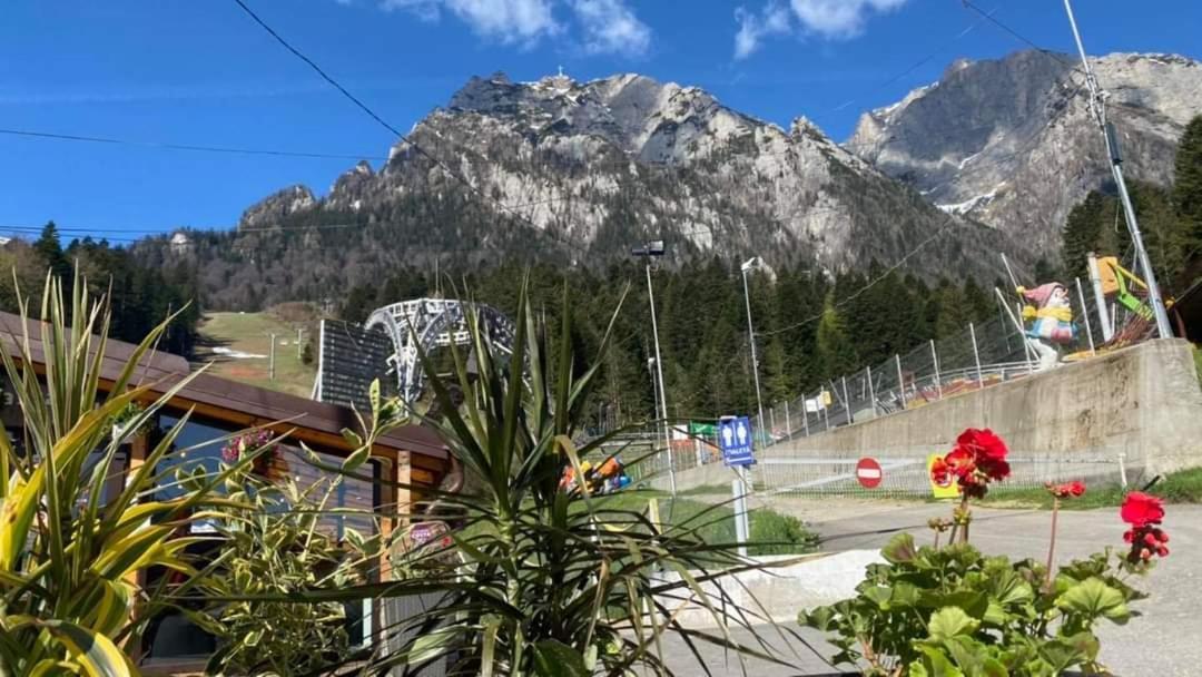 C House Villa Buşteni Buitenkant foto